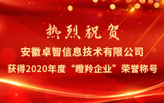 熱烈祝賀安徽卓智信息技術(shù)有限公司獲得2020年度“瞪羚企業(yè)”榮譽(yù)稱號(hào)